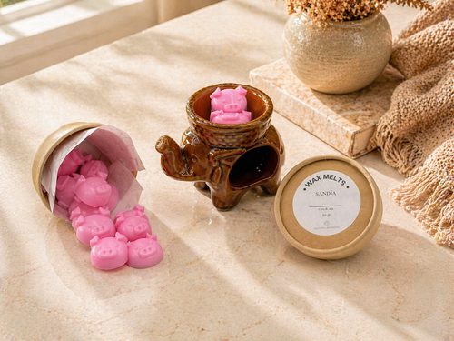 Wax Melts Sandía